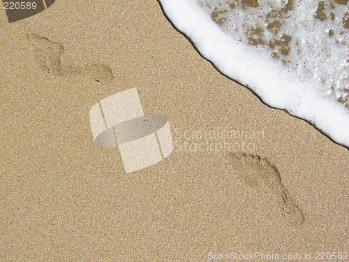 Image of Footprints and crestwaves
