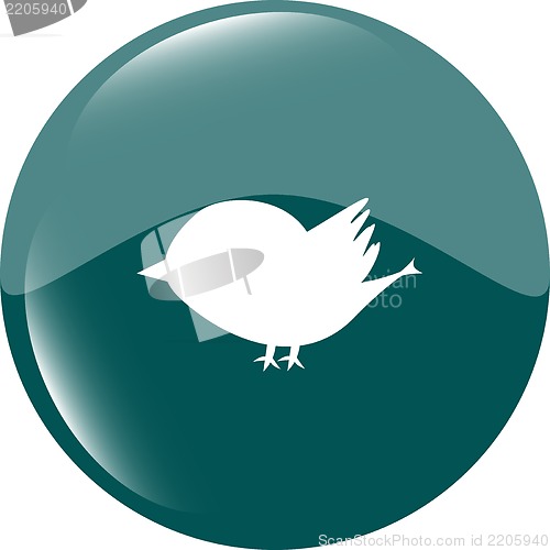 Image of Glossy isolated website and internet web icon with bird symbol