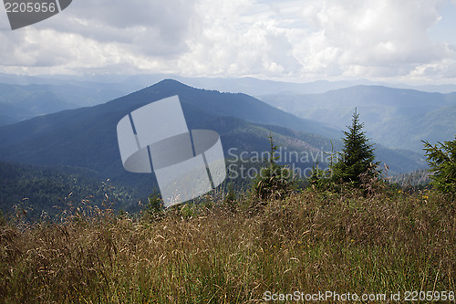 Image of Carpathian mountains