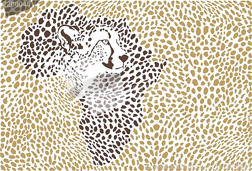 Image of Background of the African cheetah