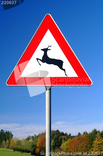Image of traffic sign deer pass