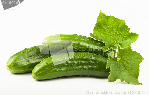 Image of Fresh cucumbers