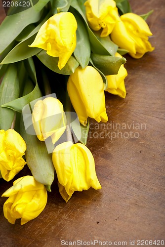 Image of yellow tulips