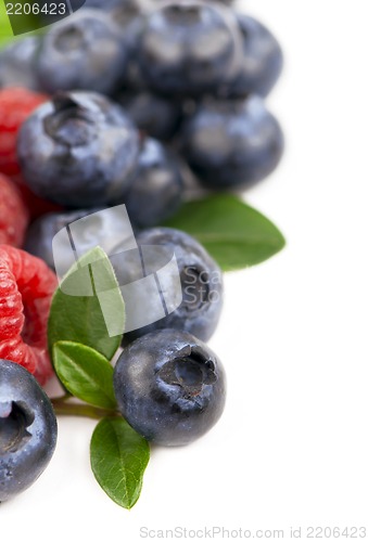 Image of Many blueberries & raspberries.