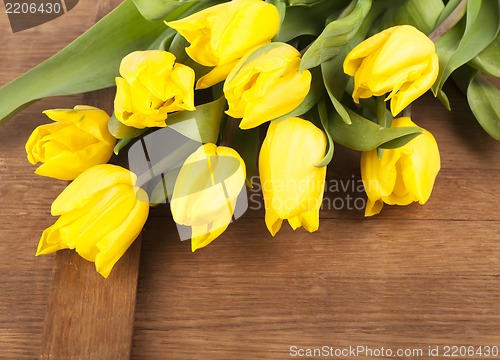 Image of Yellow tulips