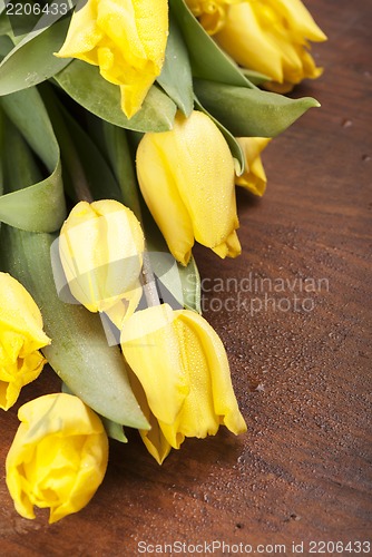 Image of yellow tulips