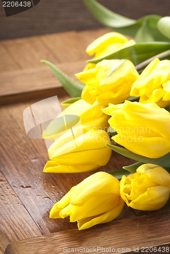 Image of yellow tulips