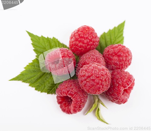 Image of Fresh raspberry