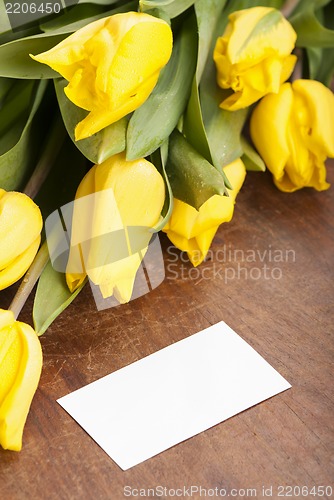 Image of Yellow tulips