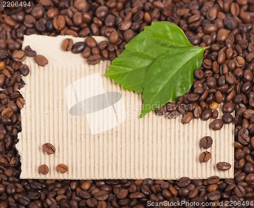 Image of Coffee  and leaves