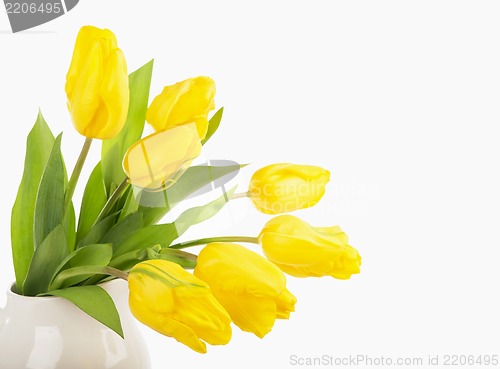 Image of Yellow tulips in a jug