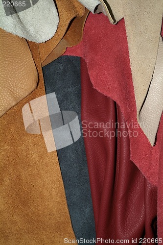 Image of Samples of leather