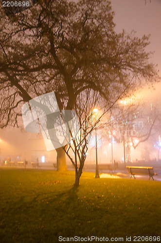 Image of Fog in the city in a winter evening