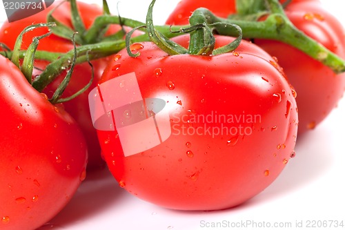 Image of Ripe tomato with water drops on white background