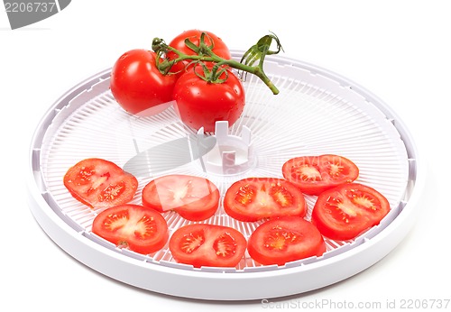 Image of Ripe tomato on food dehydrator tray