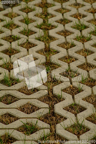 Image of paving stone