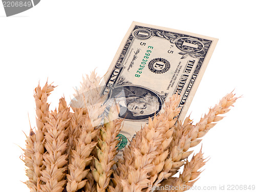 Image of wheat ripe harvest ears usa dollar cash banknote 