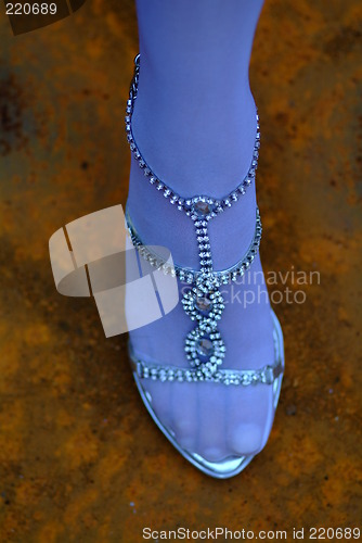 Image of lady's shoe