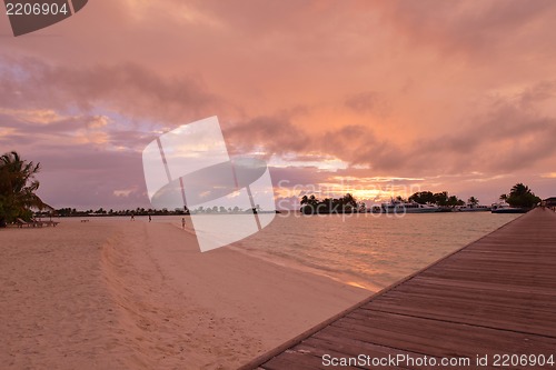 Image of tropical beach