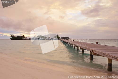 Image of tropical beach