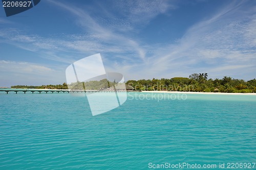 Image of tropical beach