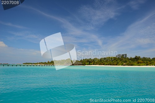 Image of tropical beach