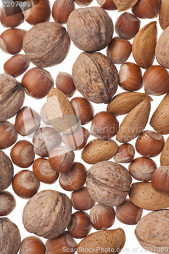 Image of Nuts