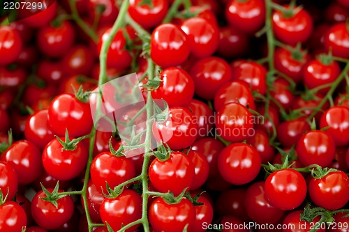 Image of fresh red tomatoes on market