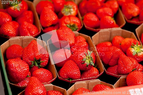Image of fresh delicious strawberries macro