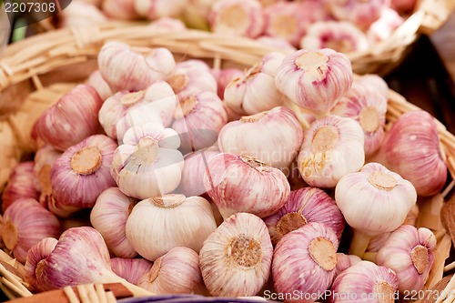 Image of group of purple white garlic in basket macro