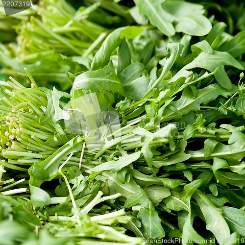 Image of fresh green rucola salad on market macro