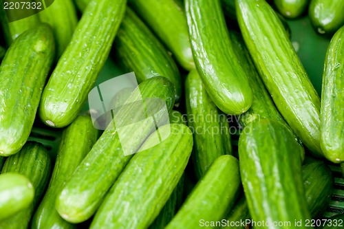 Image of fresh green cucumber on market macro