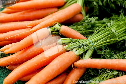 Image of fresh orange carrots on market in summer