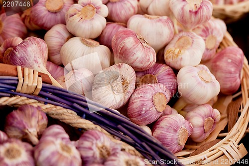 Image of group of purple white garlic in basket macro