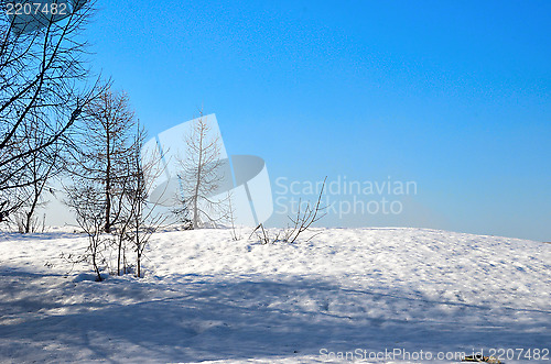 Image of winter