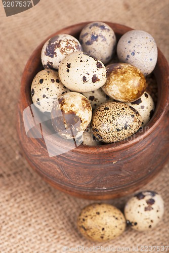 Image of Quail eggs