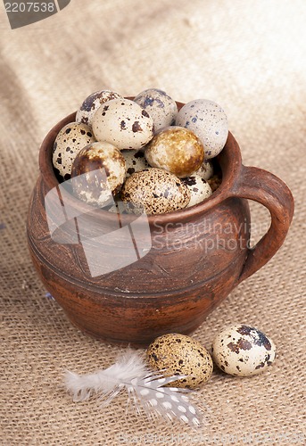 Image of Quail eggs