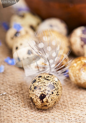 Image of quail eggs