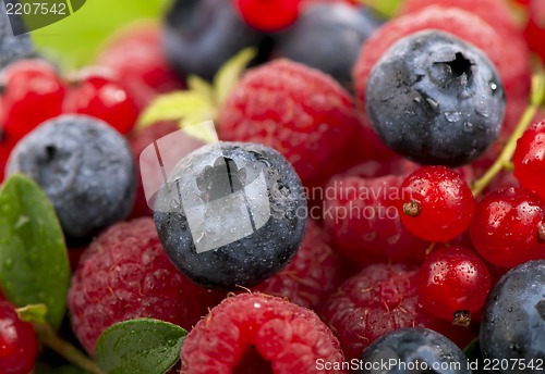 Image of Mix of berries - raspberry, bilberry and red currant