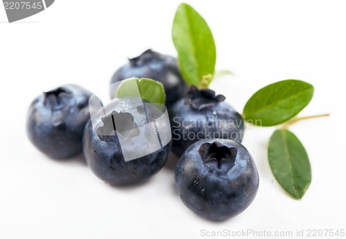 Image of  blueberry
