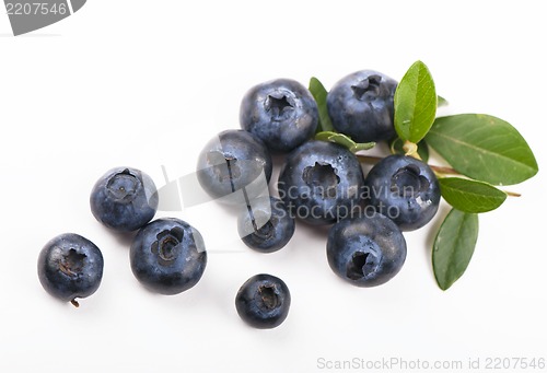 Image of  blueberry