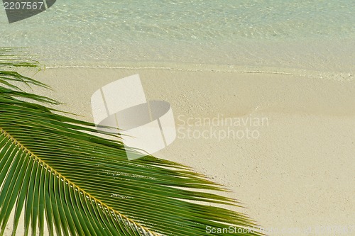 Image of tropical beach