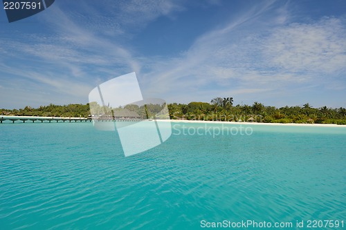 Image of tropical beach