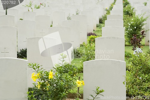 Image of Headstones in a war cemetery

