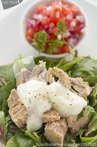 Image of Open Tuna Salad Sandwich