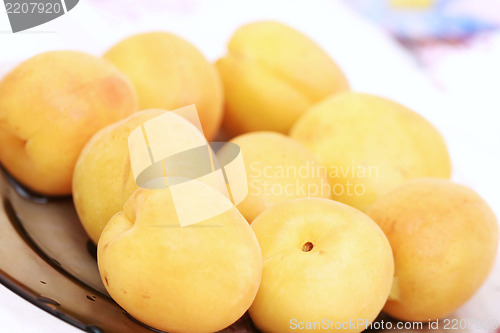 Image of Plate with apricots.
