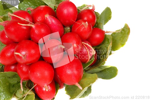 Image of A bunch of radishes isolated on white