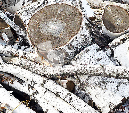 Image of firewood