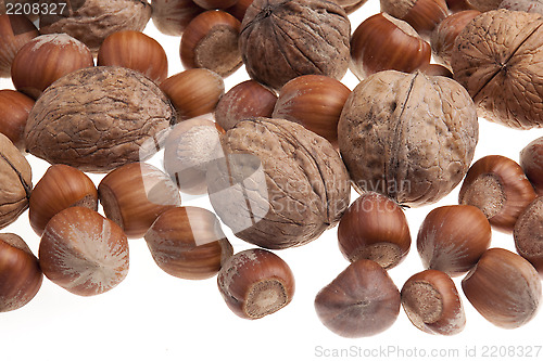 Image of Nuts