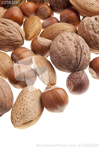 Image of Nuts